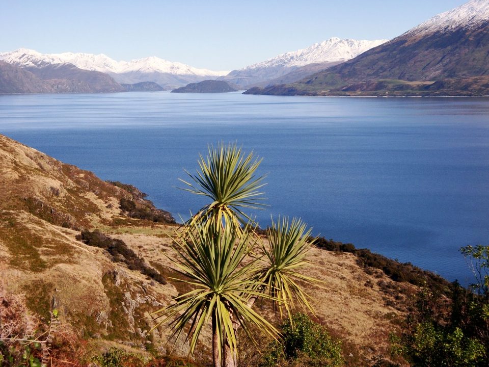 New Zealand - where all the magic happens, photo 8
