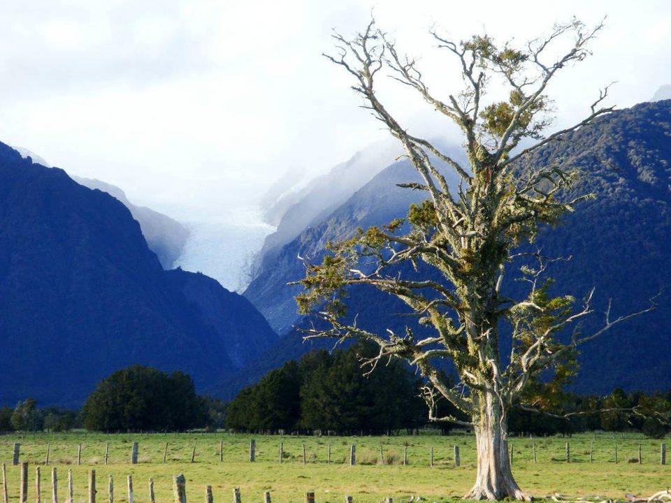 New Zealand - where all the magic happens, photo 4