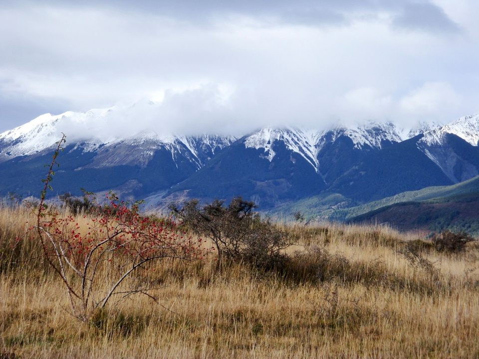 New Zealand - where all the magic happens, photo 10