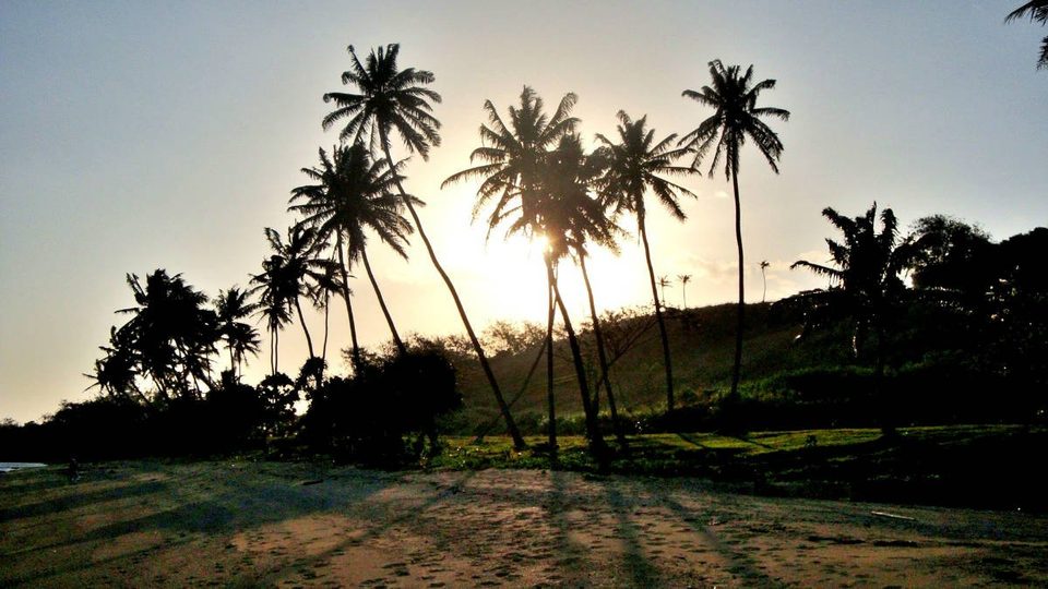 Fiji, photo 8