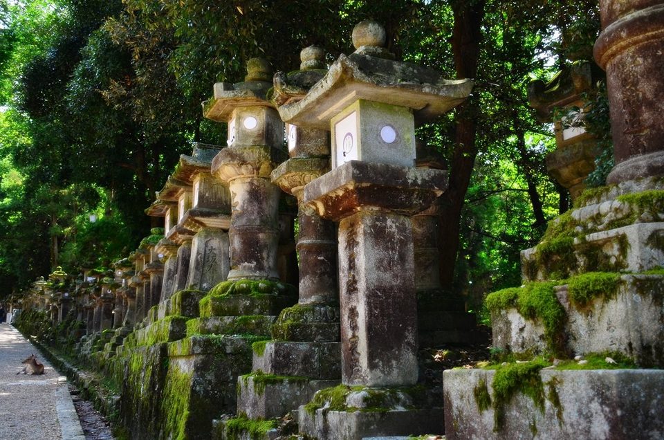 Nara , Kansai region of Japan