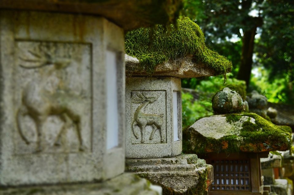 Nara