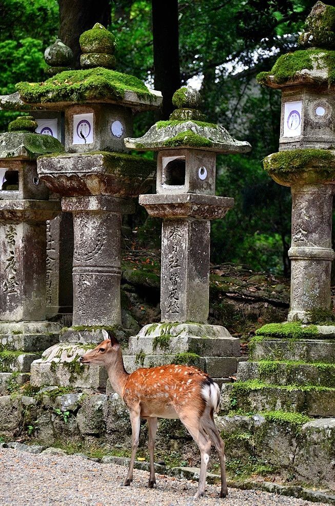 Nara