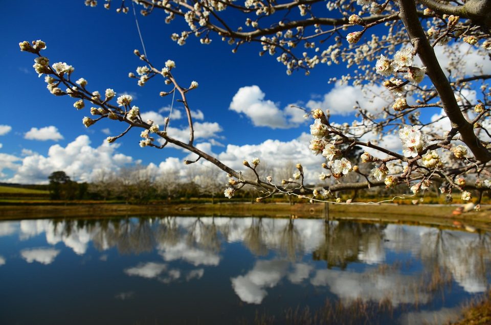 Berrima Spring NSW