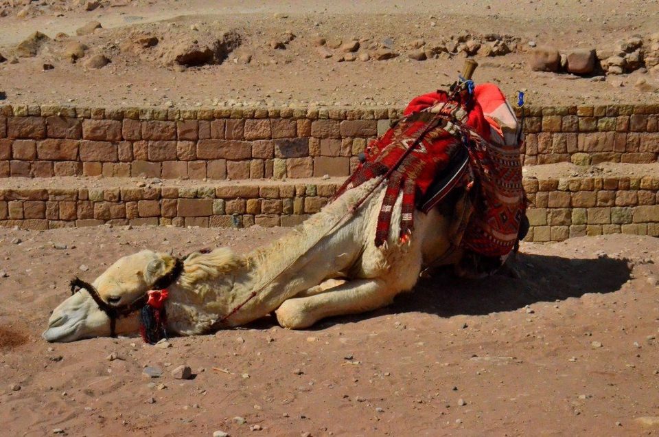 Finding the lost city in Jordan, photo 2