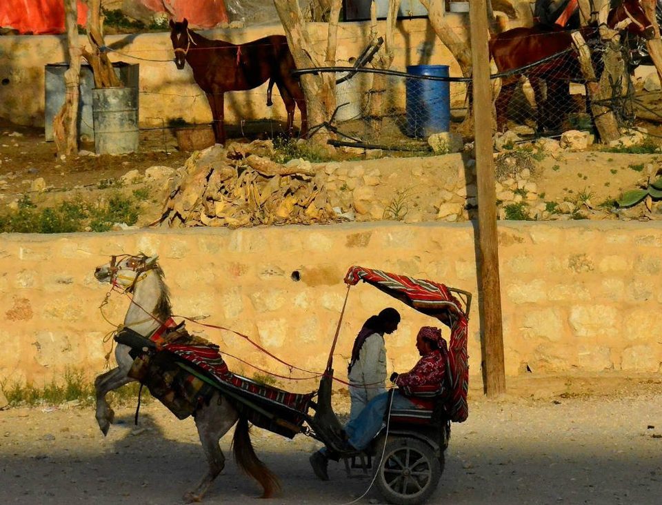 Finding the lost city in Jordan, photo 27