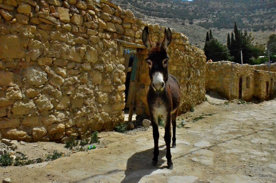 Finding the lost city in Jordan, photo 6