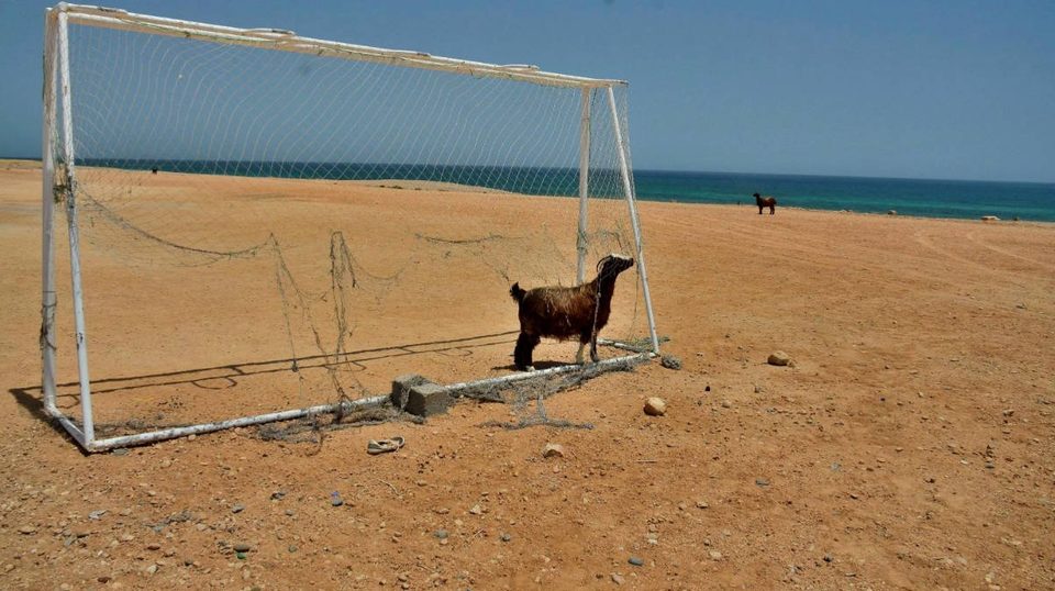 Oman - best kept secret in Arab Gulf, photo 37