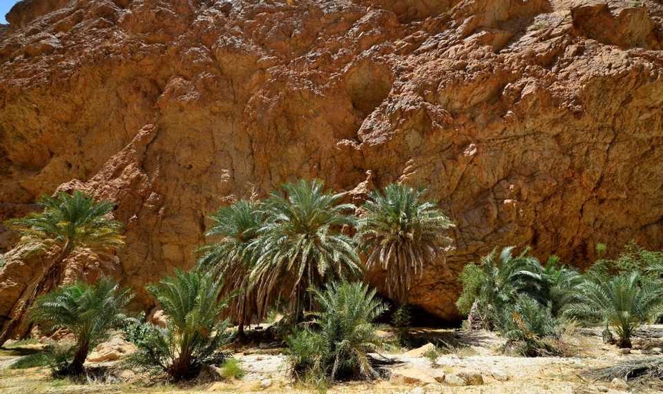 Oman - best kept secret in Arab Gulf, photo 14