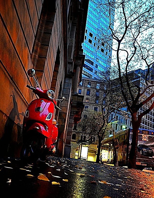 Sydney Winter