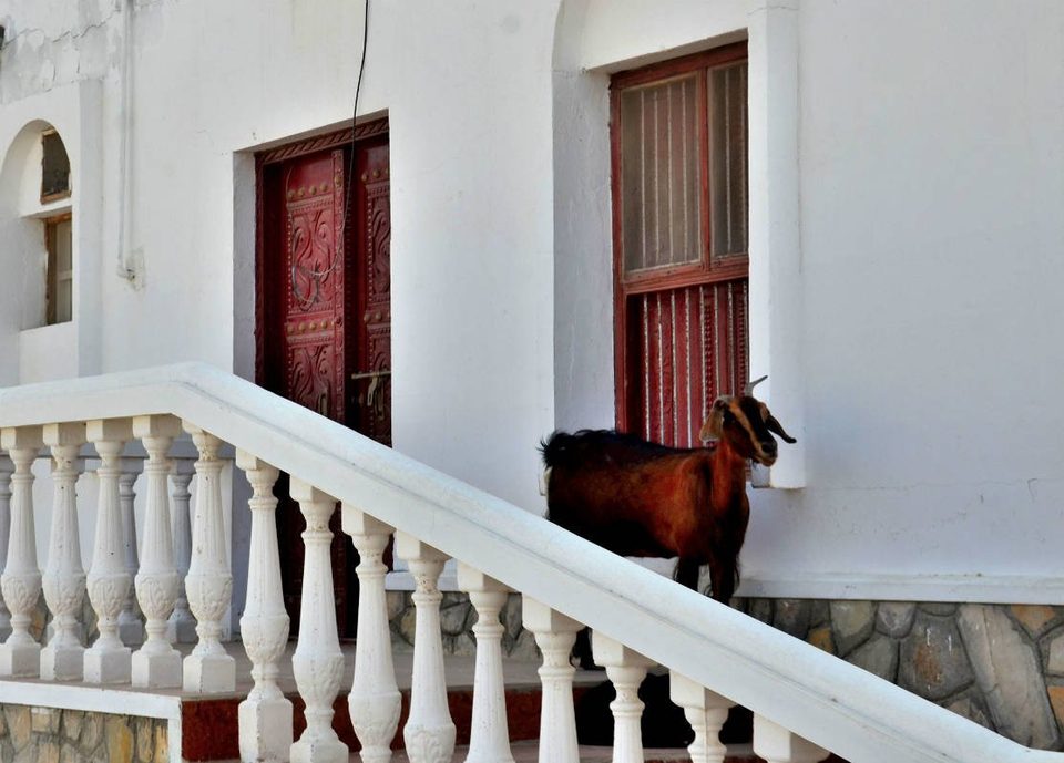 Oman - best kept secret in Arab Gulf, photo 10