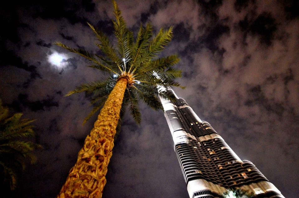 United Arab Emirates, photo 8