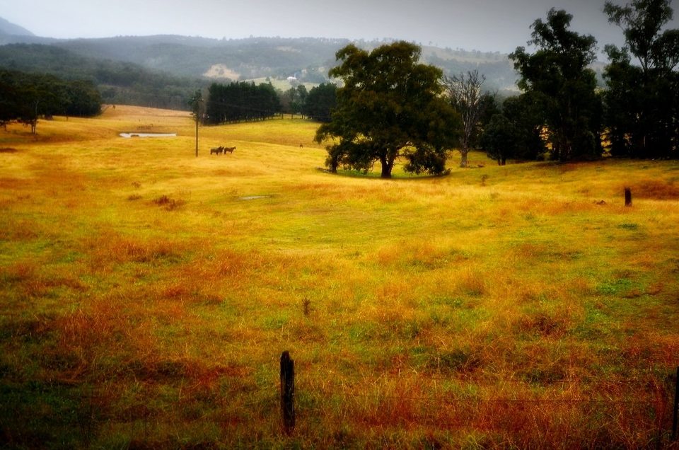 Australia, photo 28