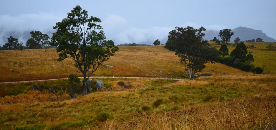 Australia, photo 30