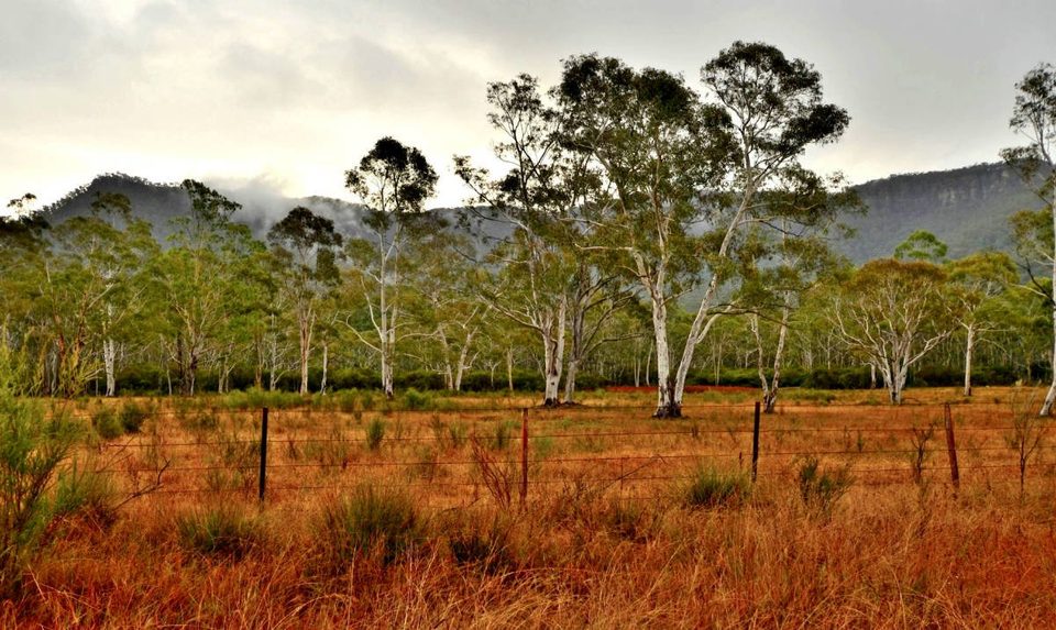 Australia, photo 4