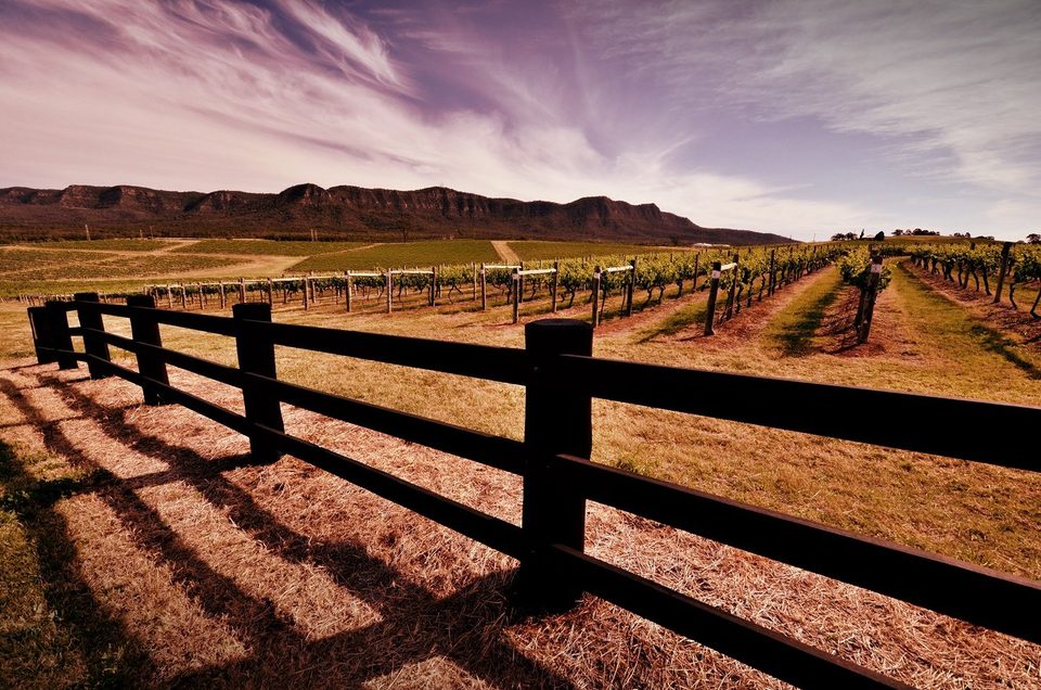 Hunter Valley NSW