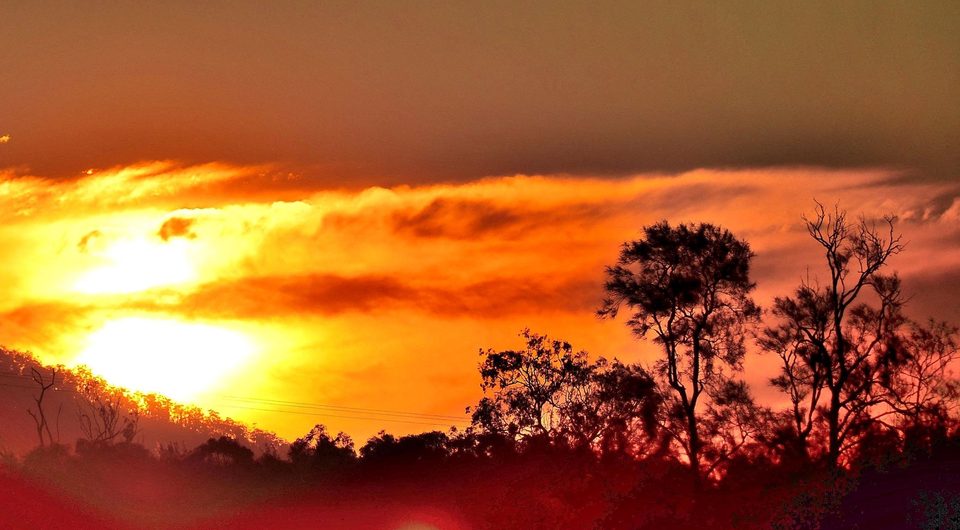Australia, photo 39