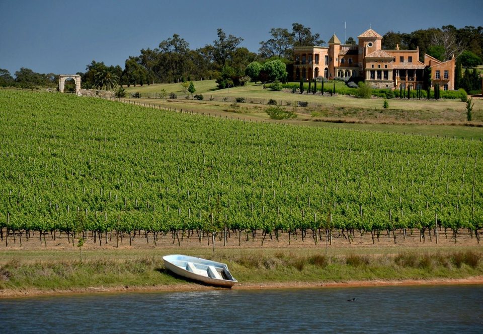 The wine region of Hunter Valley, photo 15