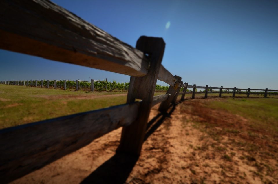 Australia, photo 37