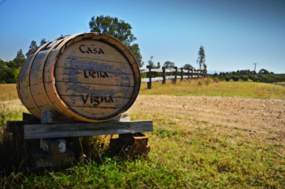 The wine region of Hunter Valley, the opening photo