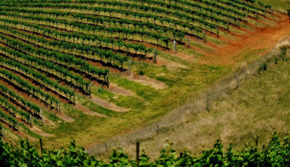 Hunter Valley NSW