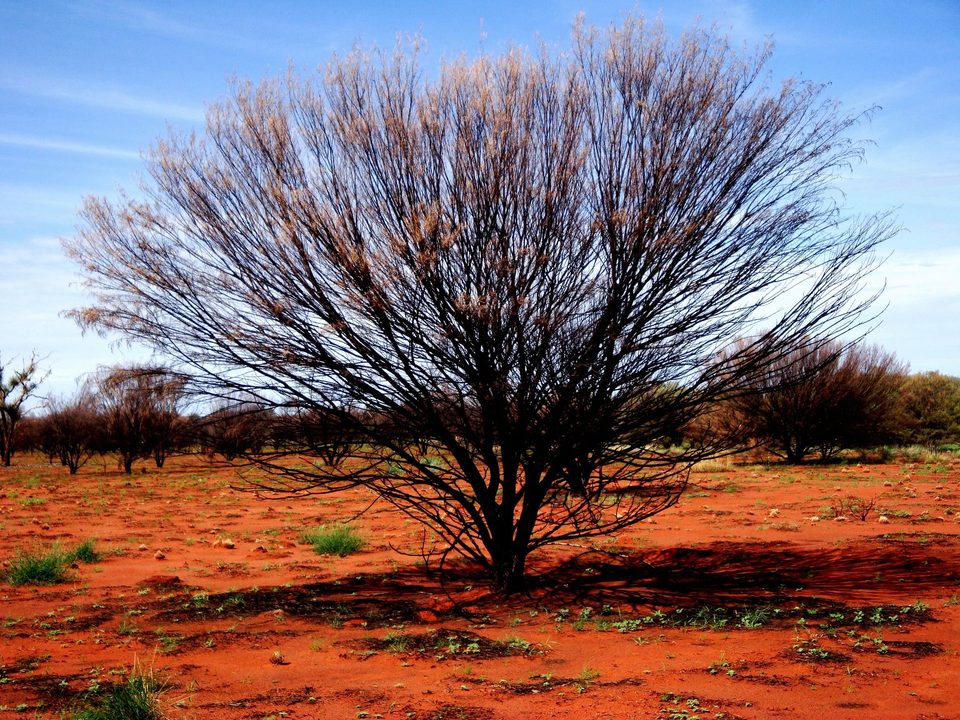 Australia, photo 7