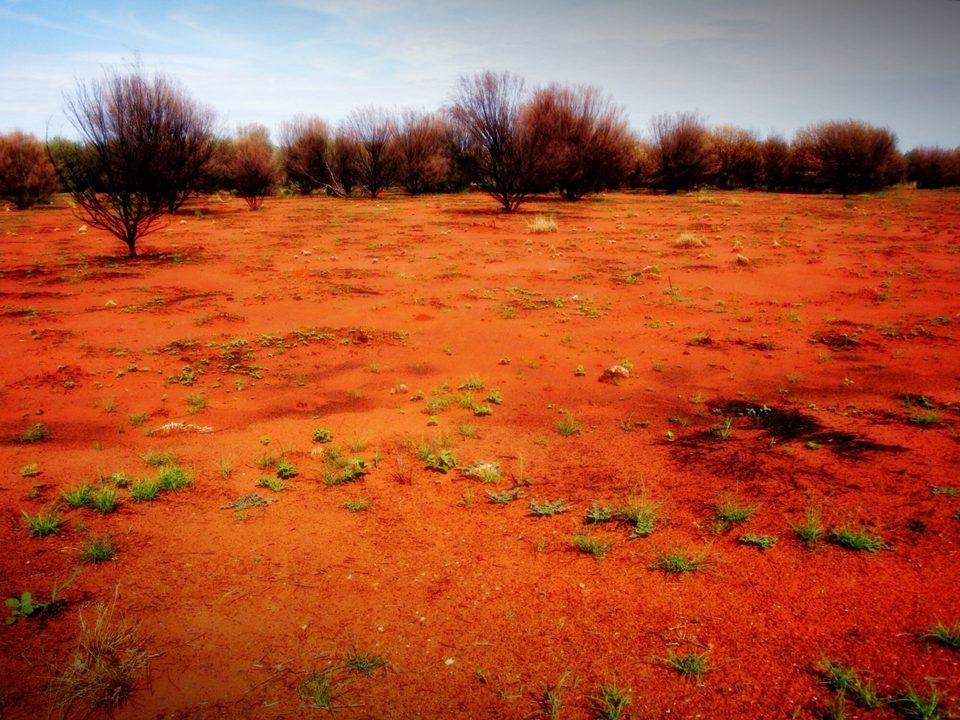 Australia, photo 23