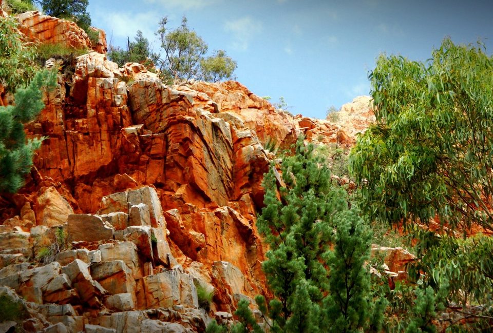 Australia, photo 29