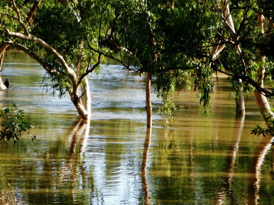Australia, photo 14