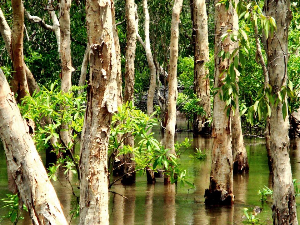 Australia, photo 17