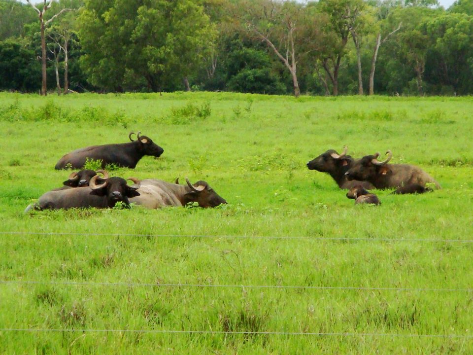 Australia, photo 32