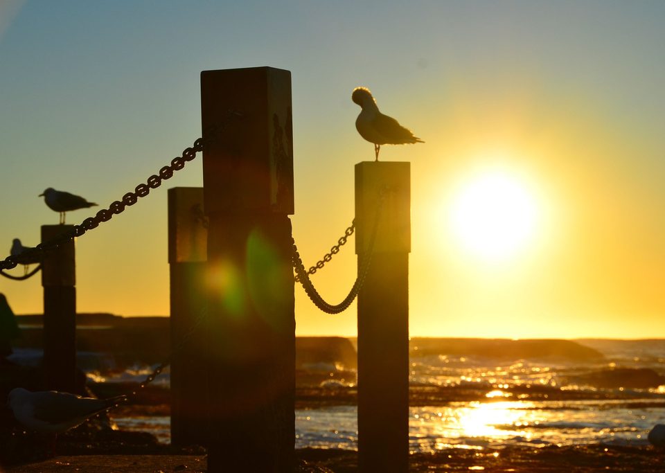 Maroubra Beach - the place I call home, photo 11