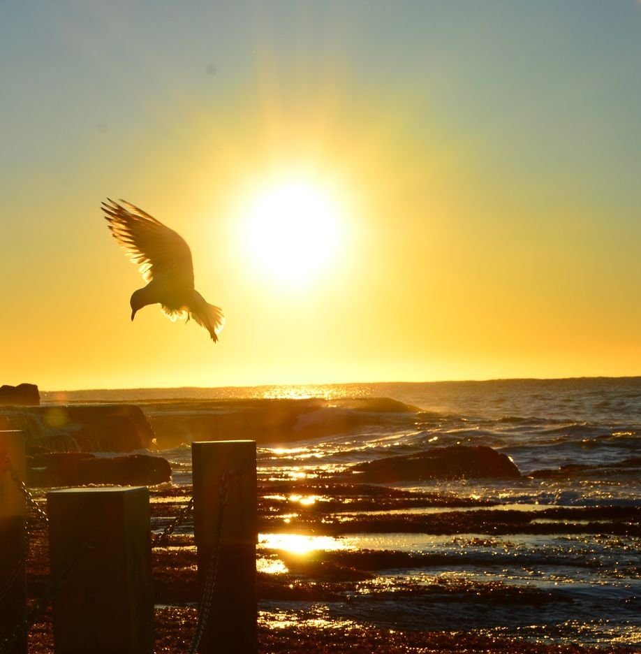 Maroubra Beach - the place I call home, photo 4