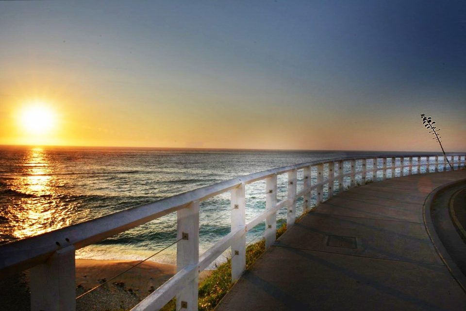 Tamarama beach