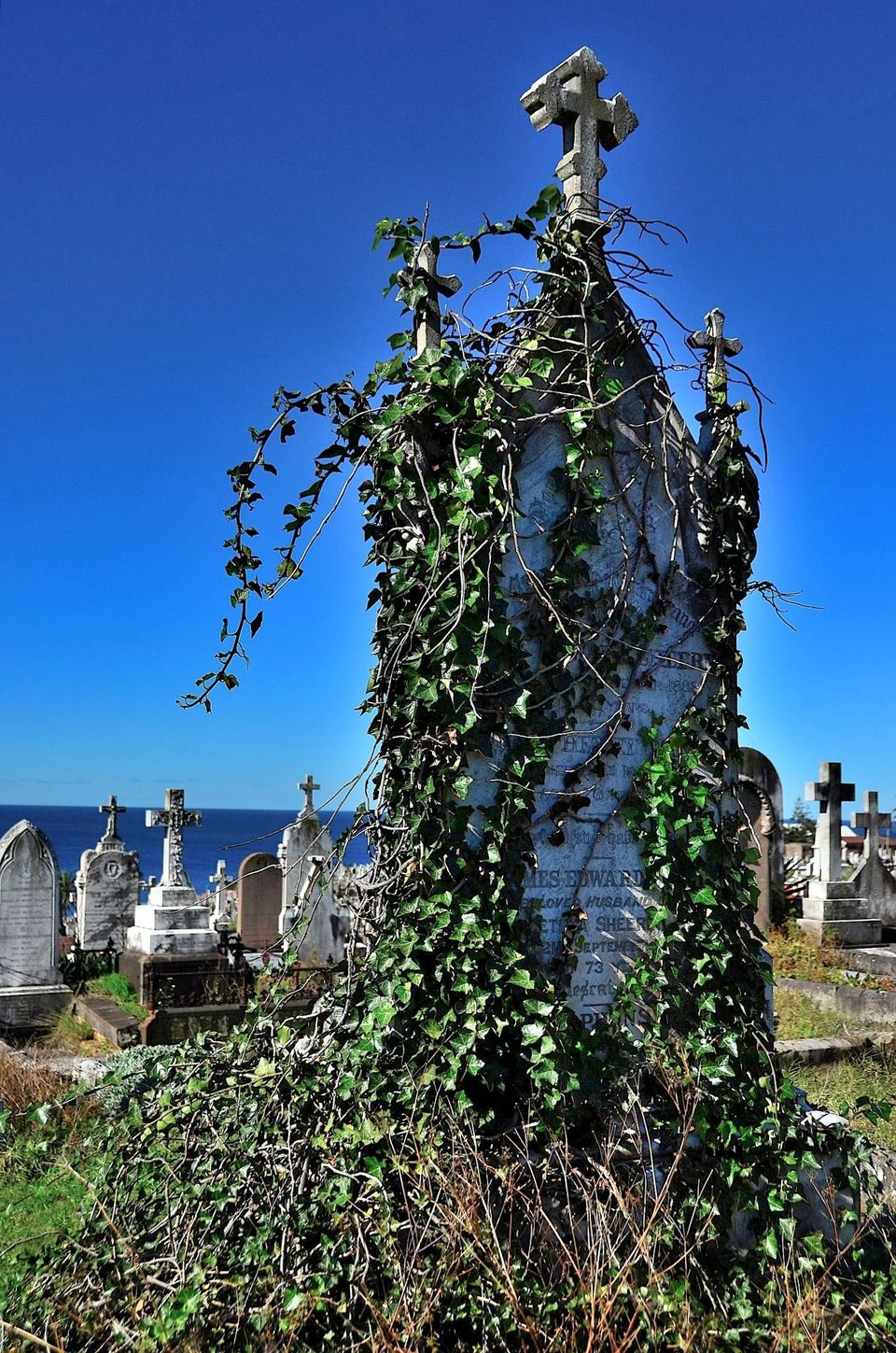 Cemetery with the view, photo 10