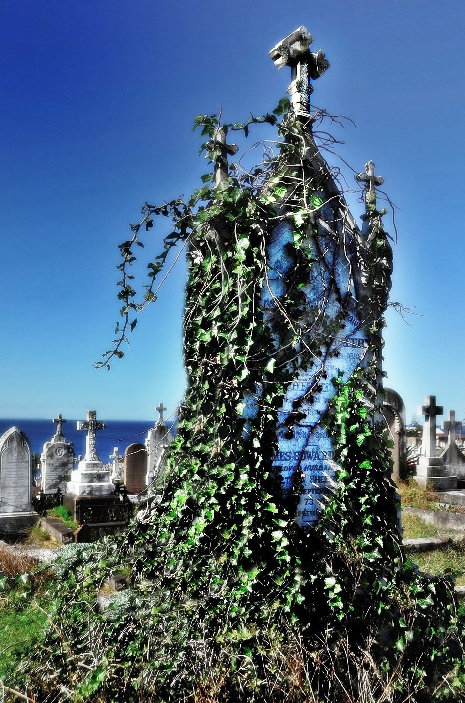 Waverley Cemetery, cemetery with the best view