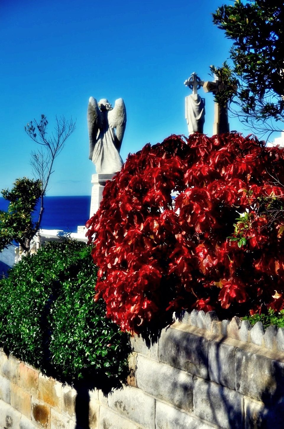 Cemetery with the view, photo 16