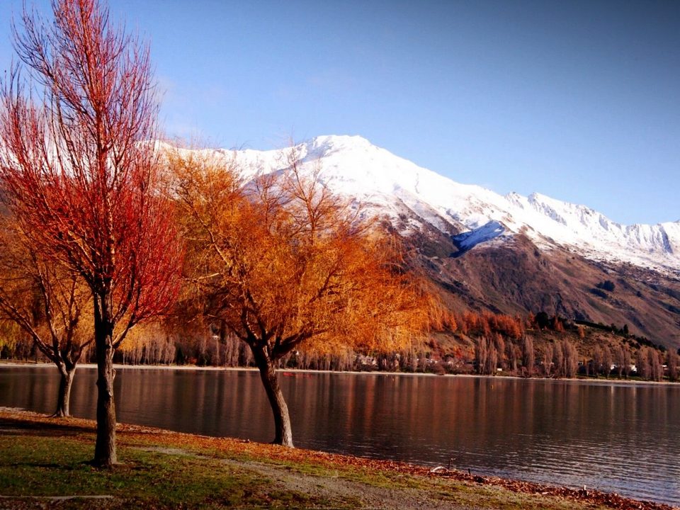 New Zealand - where all the magic happens, photo 43