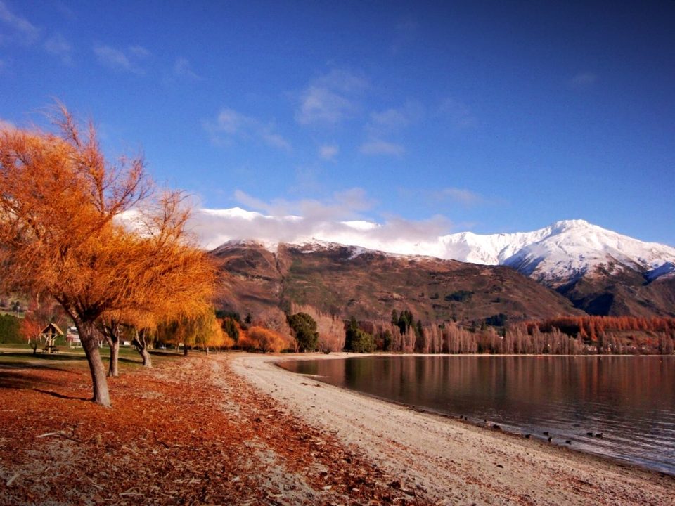 New Zealand - where all the magic happens, photo 18