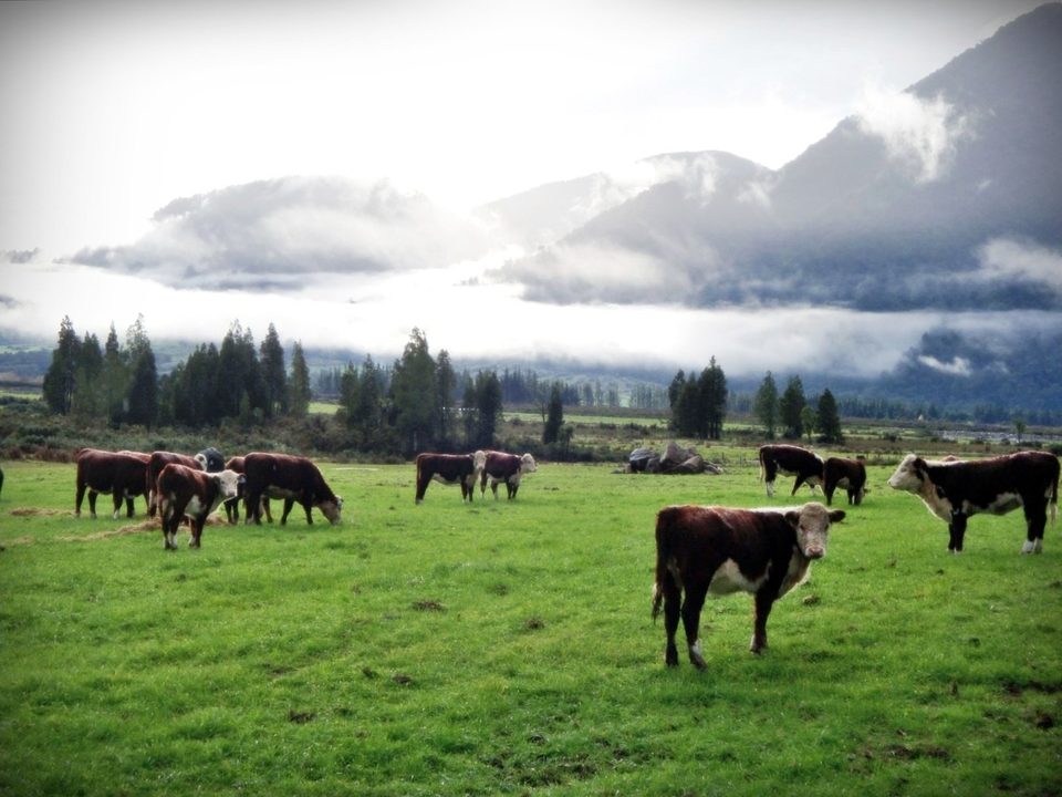 New Zealand - where all the magic happens, photo 37