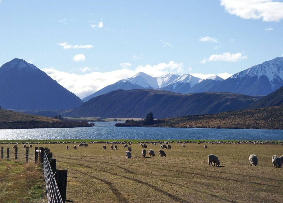 New Zealand - where all the magic happens, photo 49