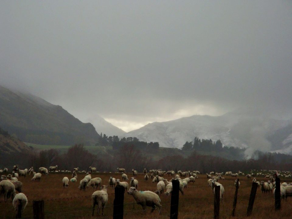 New Zealand - where all the magic happens, photo 47