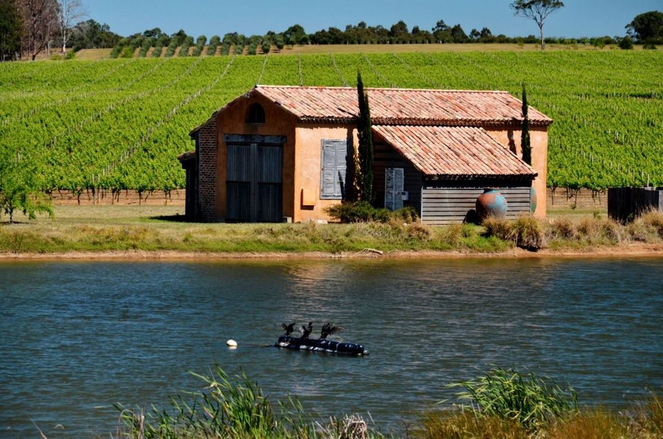 The wine region of Hunter Valley, photo 7