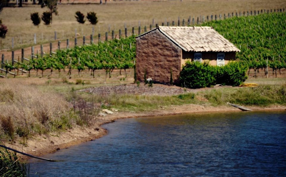 The wine region of Hunter Valley, photo 11