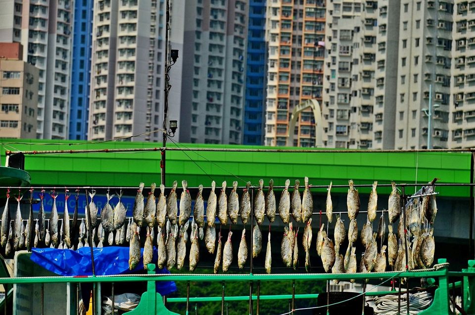 Hong Kong - The Way of the Dragon, photo 25