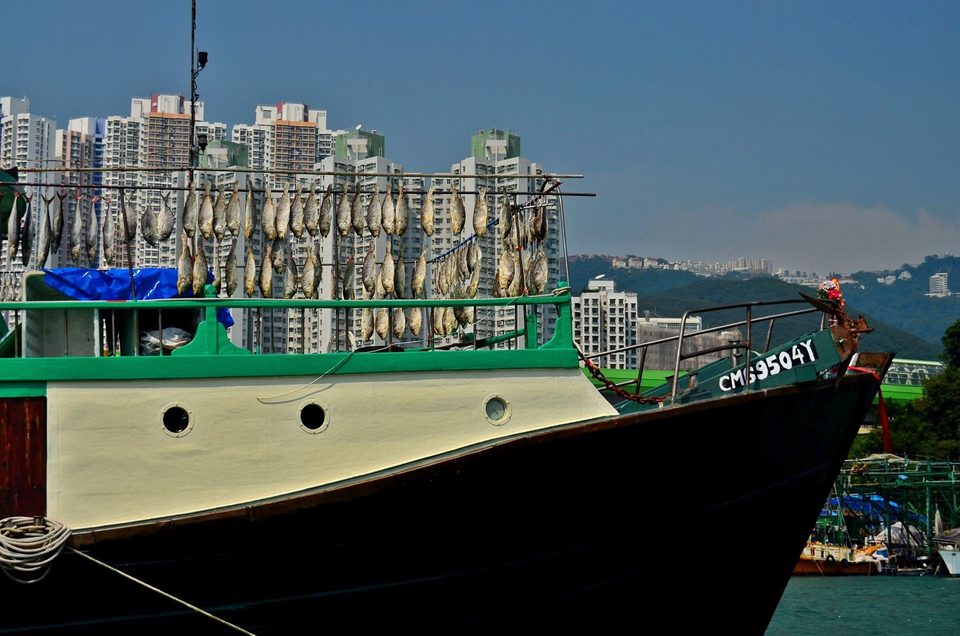 Hong Kong - The Way of the Dragon, photo 24