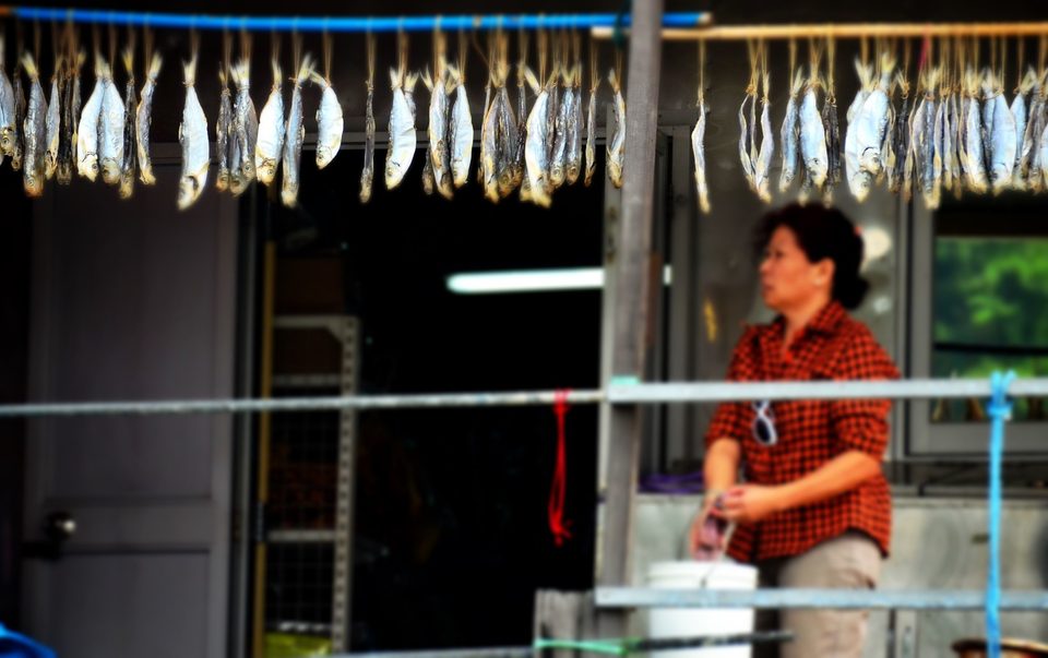 Tai O - Lantau Island, photo 29