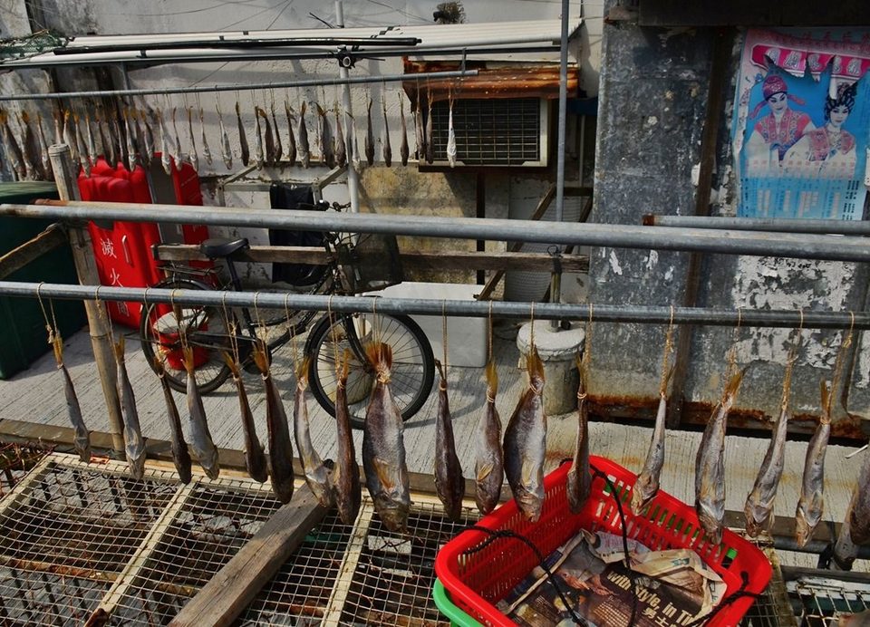 Tai O - Lantau Island, photo 17