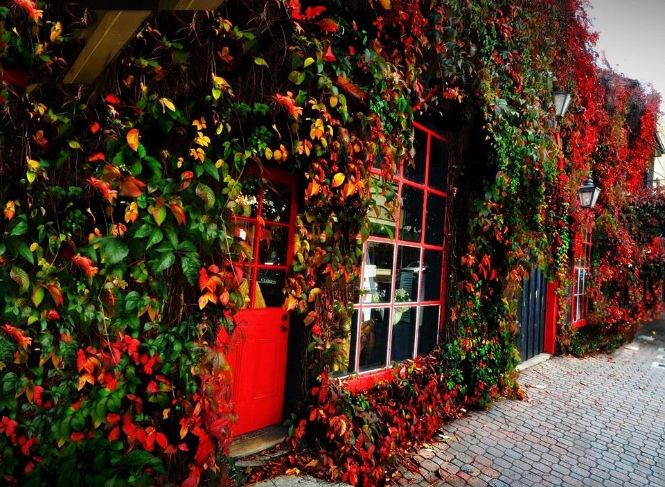 Falling in love with fall, photo 3