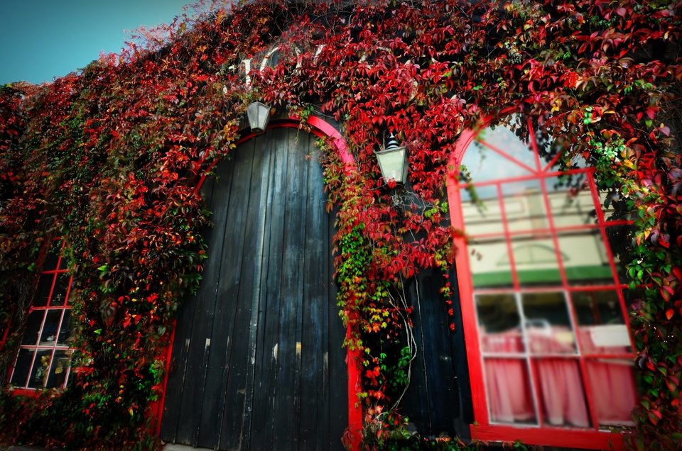 Falling in love with fall, photo 6